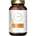 Puravia LABS Kurkumin & piperin komplex, 90 kapslí