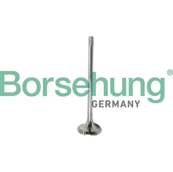 Ventil motoru Výfukový ventil Borsehung B10321