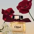 Dámský parfém Chloé Le Parfum W P