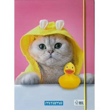 Desky s gumičkou "Fantasy colors", kočka, MITAMA 61906-90027