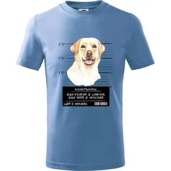 Lump a darebák labrador - Tričko dětské bavlněné - 98 cm / 2 roky ( Pyžamově světlá modrá )