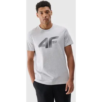 Pánské tričko Pánské tričko 4F 4FWMM00TTSHM2257-27M 3XL