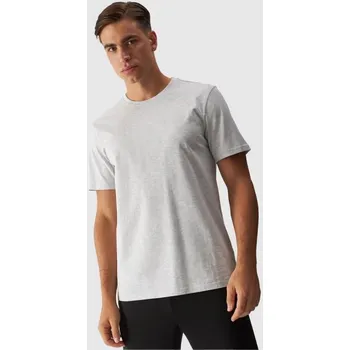 Pánské tričko Pánské tričko s potiskem 4F 4FWMM00TTSHM1844-27M pánské s