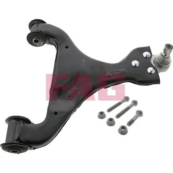 Zavěšení kol Řídicí páka, zavěšení kol Schaeffler FAG 821 0571 10