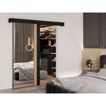 Posuvné dveře Tilmann s tichým dovíráním - zrcadlo / černá