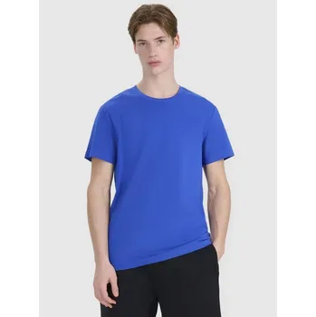 Pánské tričko Pánské tričko s potiskem 4F 4FWSS25TTSHM2239-36S xxl