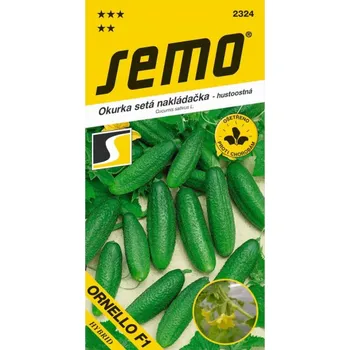 Travní směs Okurka nakládačka ORNELLO F1