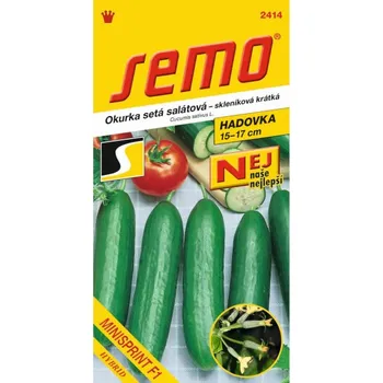 Travní směs Okurka salátová MINISPRINT F1 10 semen