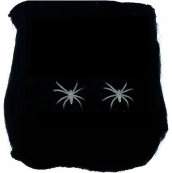 Obraz Pavučina Fiestas Guirca 1 x 1 cm 1 ks