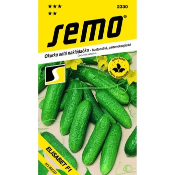 Travní směs Okurka nakládačka ELISABET F1