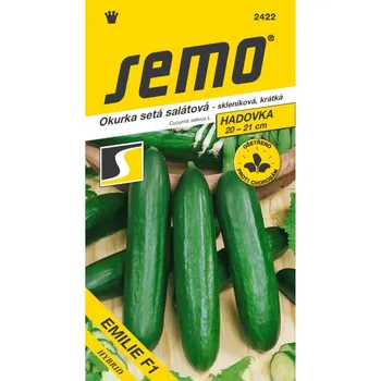 Travní směs Okurka salátová EMILIE F1 10 semen