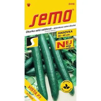 Travní směs Okurka salátová VISTA F1 10 semen