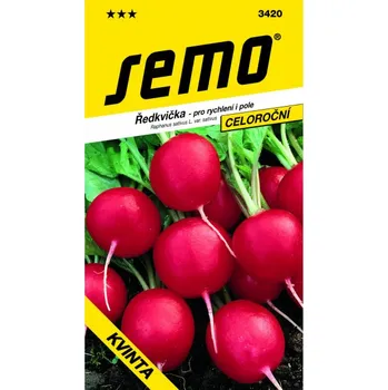 Semeno Ředkvička KVINTA