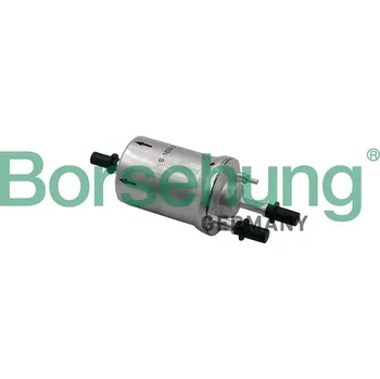 Palivový filtr Palivový filtr Borsehung B12828