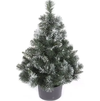 Vánoční stromek Vánoční stromek v květináči Borovice EIRA