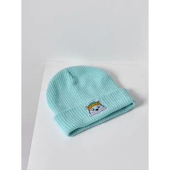 Čepice Sinsay - Čepice beanie Paw Patrol - zelená - 010FU-07X - 010FU-07X-S