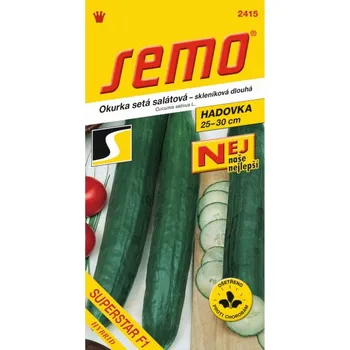 Travní směs Okurka salátová SUPERSTAR F1 10 semen