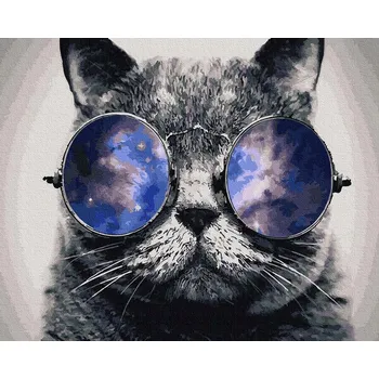 Malování podle čísel iPicasso 40x50 cm na rámu