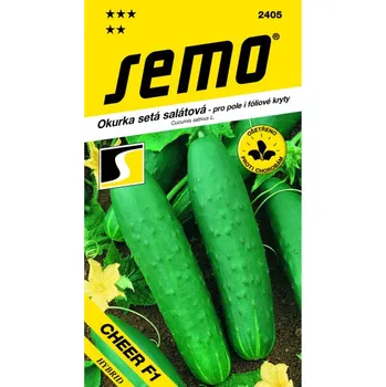 Travní směs Okurka salátová CHEER F1