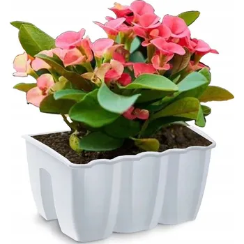 Květináč Bílý plast Květináč Prosperplast 39,5 cm x 28,5 x 20,5 cm