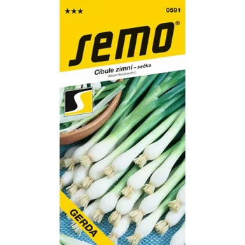 Sazenice Cibule GERDA