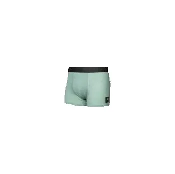Pánské termo spodní prádlo SENSOR MERINO CORDURA pánské trenky basil green XL; Zelená trenky + DÁREK DLE VÝBĚRU!