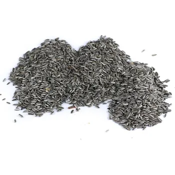 Krmivo pro ptáka SLUNEČNICE ŽÍHANÁ MALÁ - pro ptactvo 10 kg