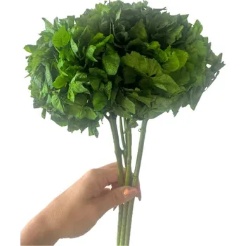 umělá květina Stabilizovaná hortenzie zelená svazek