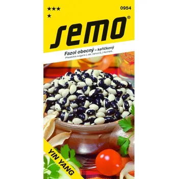 Semeno Fazol keříčkový YIN YANG