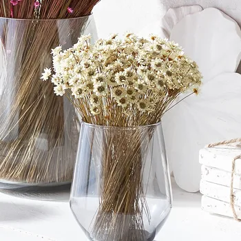 umělá květina Astoreo Sušené květiny Glixia béžová