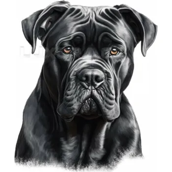 Nažehlovačka Cane Corso hlava - 11 x 12 cm