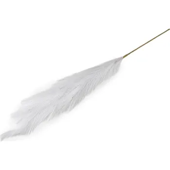 Pampová tráva - 1 bílá