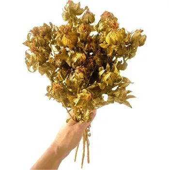 umělá květina Stabilizovaná světlice barvířská zelená (Carthamus) svazek 50g