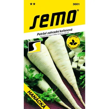 Semeno Petržel HANÁCKÁ