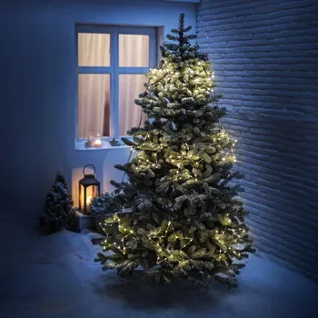 Vánoční dekorace LED světelné prameny Stella stříbrná