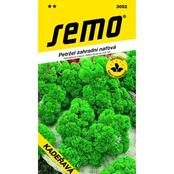 Semeno Petržel kadeřavá Moss Curled 2 4 g
