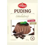 Amylon Puding čokoládový bez lepku 40 g