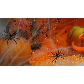 Karnevalový kostým Wiky Dva pavouci s pavučinou černá