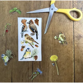 samolepka Divokrásno Vzorek magické samolepky - Ptáci