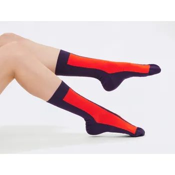 Pánské ponožky ferdinand Rychlý pruh III 40-43