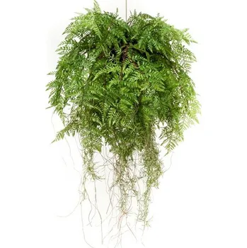 umělá květina VertEspace Umělé květiny Závěsné aranžmá Kapradí s kořeny, 55cm zelená