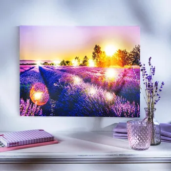 Obraz LED obraz Levandulové pole fialová