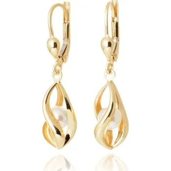 Šperk Visací náušnice ze žlutého zlata s perlami NA1671F + Dárek zdarma