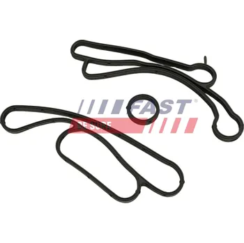 Chladič motoru Těsnicí kroužek, chladič oleje (mazání) FAST FT48938