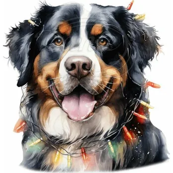 Textilní nažehlovací páska Dante Nažehlovačka Bernský salašnický pes a světýlka - 5 x 6 cm