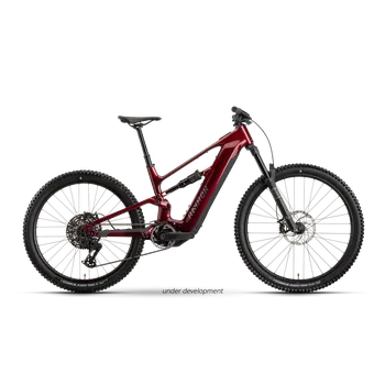 Elektrokolo Raymon Ravor Pro 29/27.5" 2026 Yamaha PW-X4 100Nm 840Wh velikost rámu: L