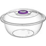 Mísa s víkem transparentní 46,5x46,5x22,5 cm, 16 l