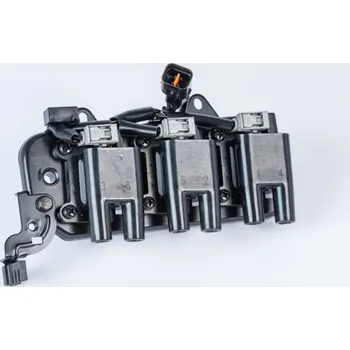 Zapalovací cívka Zapalovací cívka BorgWarner (BERU) ZS555