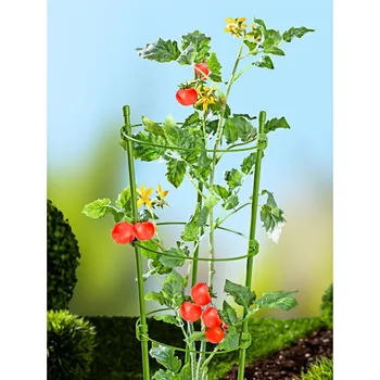 Opora na rostlinu 6dílná podpěra pro rostliny