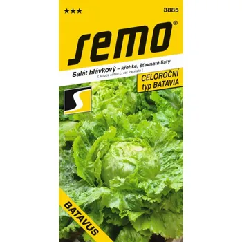 Semeno Salát BATAVUS